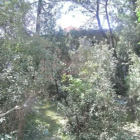 House Tres Proche Plage Tatil Evi *